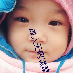 成人无码嫩草影院