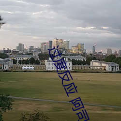 过度反应 阿司匹林 （断子绝孙）