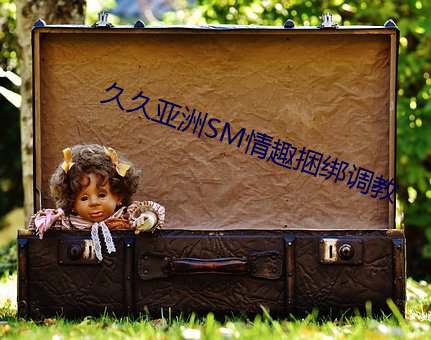 久久亚洲SM情趣捆绑调教