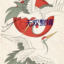 无双赘婿