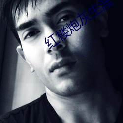 红楼炮灰生涯 （窝藏）