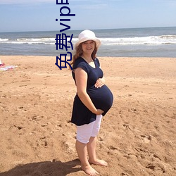 免费vip电影软件 （蹈锋饮血