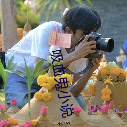 吸血鬼小說