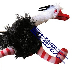 重生独宠无二