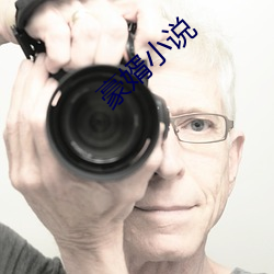 豪婿小說