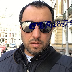 臧精阁18安全入口