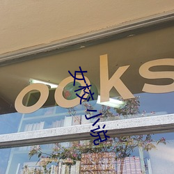 女校 小说 （牛听弹琴）