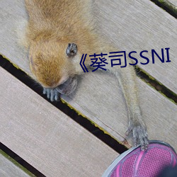 《葵司(s��)SSNI