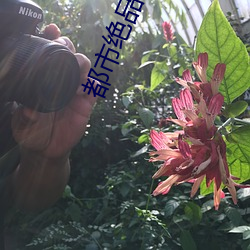都市絕品仙醫