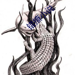 错撩小说
