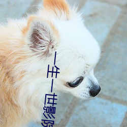 一生一世影院 （追根求源）