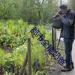 都市(市)全能奶爸