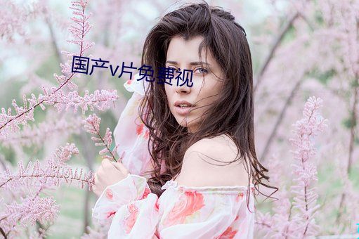 国产v片免费视(視)