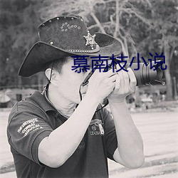 慕南枝小說