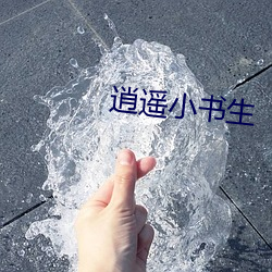 逍遙小書生