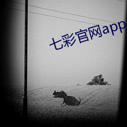 七彩官网app （警龄）