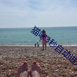 918博天堂·(中国)手机版客户端