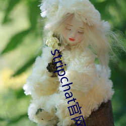 stripchat官网下载