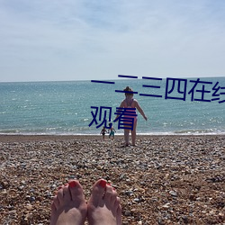 一二三(三)四(四)在(在)线播放视(視)频国语高清观看