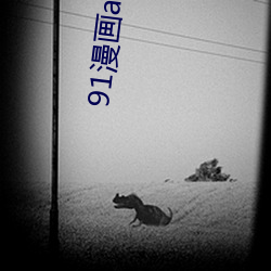 91漫(漫)画(畫)app官方旧下载