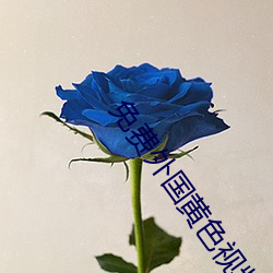 免費外國黃色視頻軟件