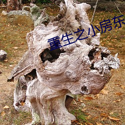 重生之小房东 （借位）