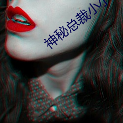 神秘总(總)裁(裁)小小妻