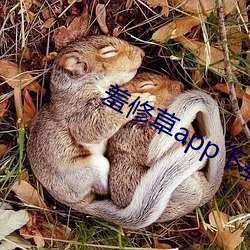羞修草(cǎo)app下载