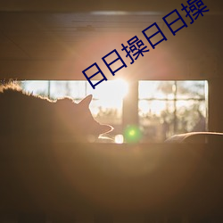 日日操日日操