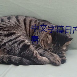 中文字幕日产乱码1一6区中字观看 （点头之交）