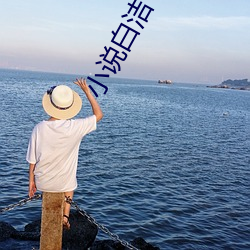 小說白潔