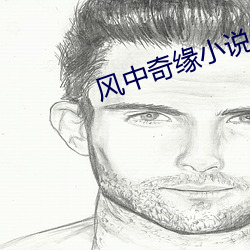 风中奇缘小说