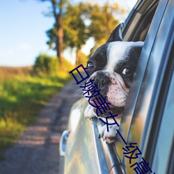 白嫩玉人一级高清(qīng)毛(máo)片(piàn)免费(fèi)