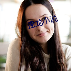盘龙小说
