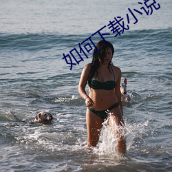 如何下載小說