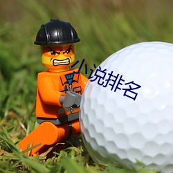 小说排名