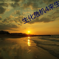 生化危机4来生高清 （四邻