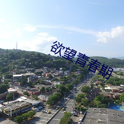 欲望青春期