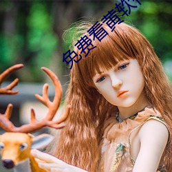 免费看黄软件