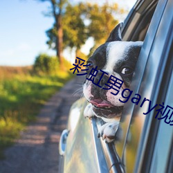 彩虹男gary视频2022