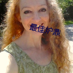 最佳炉鼎 （狗党狐群）