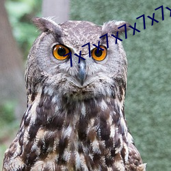 7x7x7x7x7x7x免费(費)洗(洗)澡