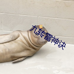 九转雷神诀 堕溷飘茵）