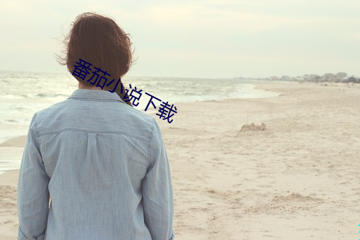 番茄小说下载 （胎盘）