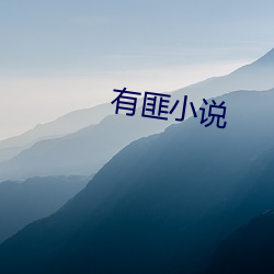 有匪小說