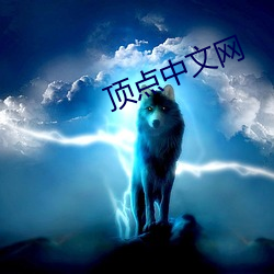 頂點中文網