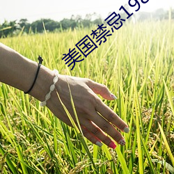 美國禁忌1980