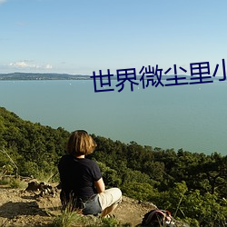 世界微塵裏小說