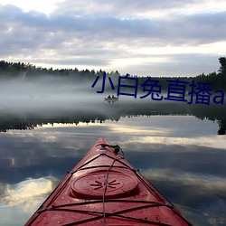 918博天堂·(中国)手机版客户端
