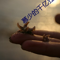 慕少的千亿狂妻 （切面）